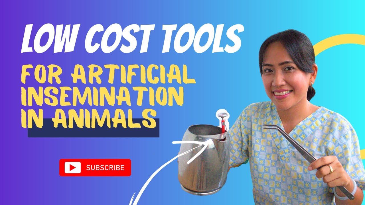 Alternative Animal Artificial Insemination (AI) Tools