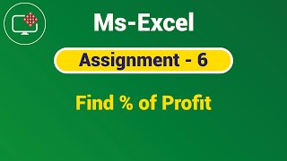 Assignment 6 | Find % of Profit in Ms-Excel Net Worth