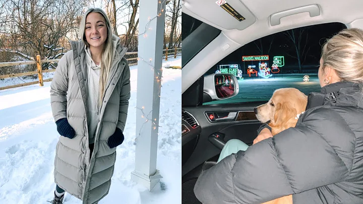 shopping at ulta, lil haul + christmas light show | Vlogmas Day 20