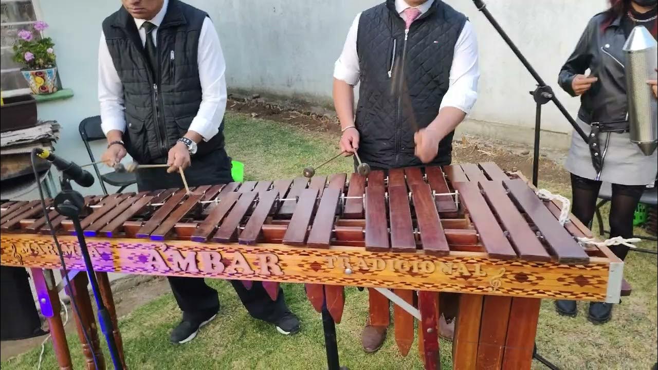 Voy a Pintar un Corazón ️🌹 con Marimba Tradicional "Ámbar" 7225308862