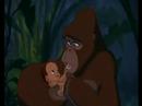 Disney-Tarzan-Yo...  be in my heart-multilangu...  1