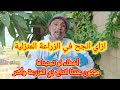 اسباب عدم نجاحنا في زراعة الاسطح