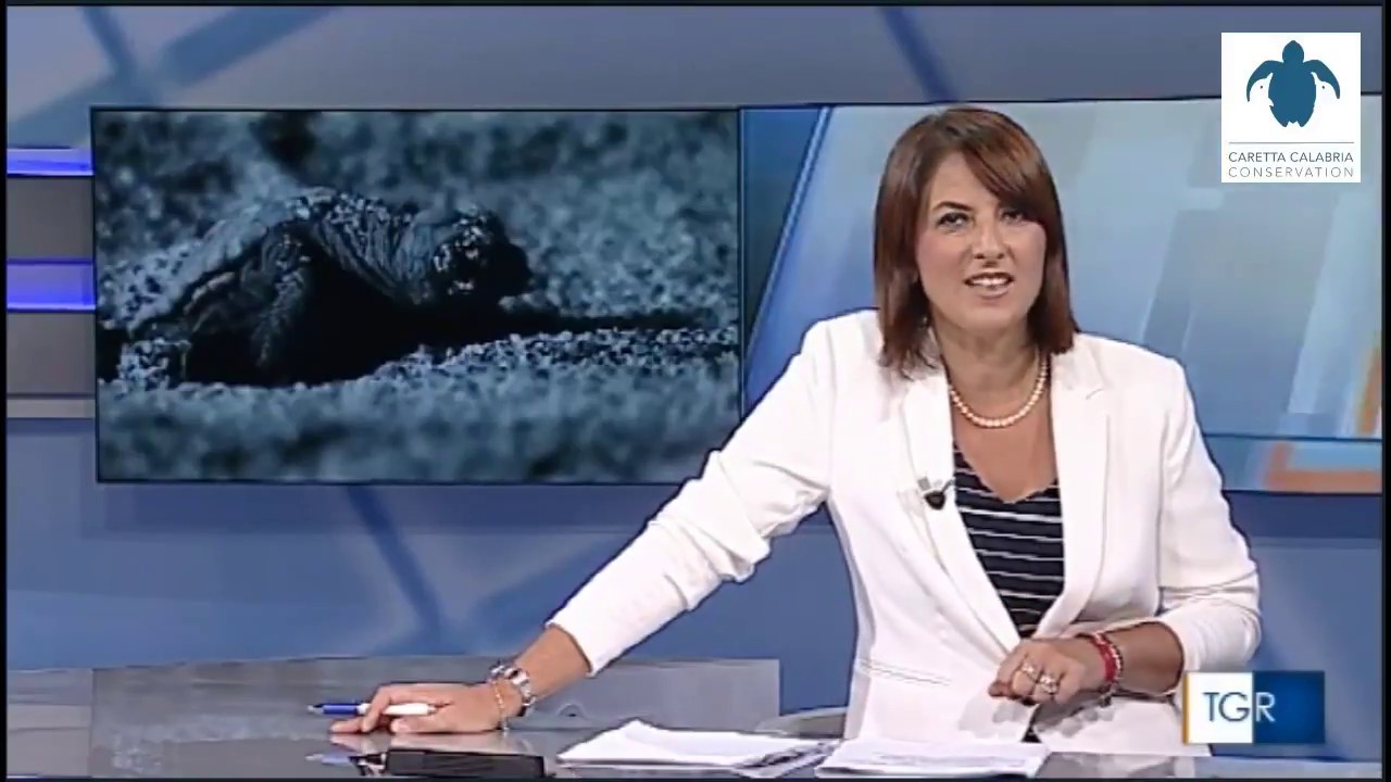 Caretta Calabria Conservation TGR Calabria - YouTube