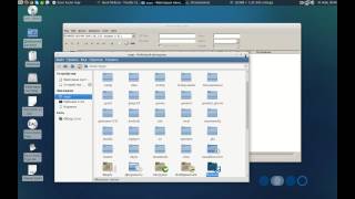 Exact Audio Copy rip in Linux Xubuntu and create lossless release