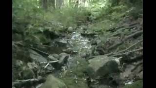 The Abandoned Tunnel