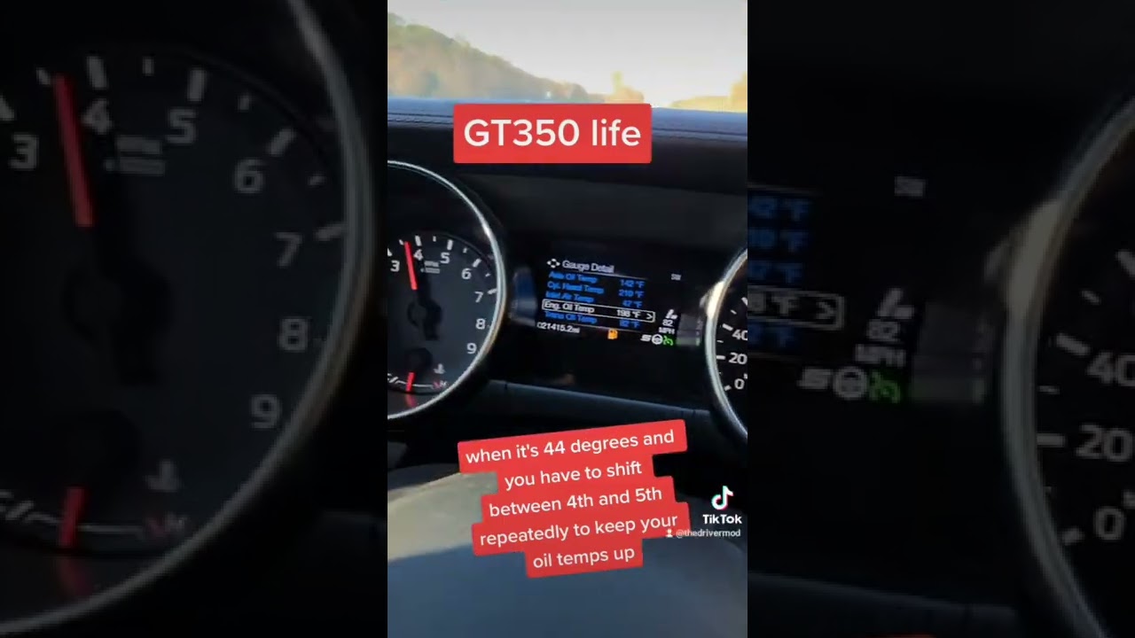 GT350 oil temps 