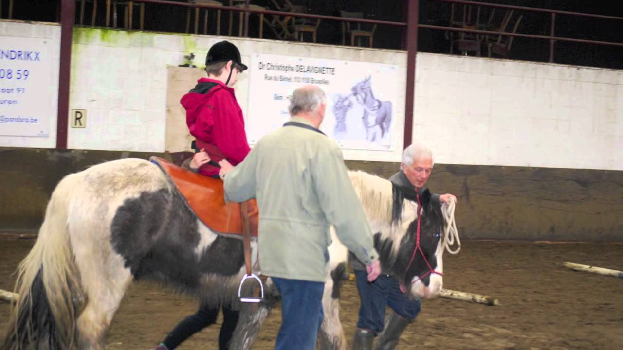 Equitherapie 1REVAKI