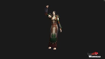 Warlords of Draenor Female Human New Character Model Animations