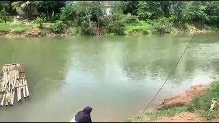 Download Lagu CAHAYA DAN ARUMI HIDUP DI DESA NGANTAR MAKAN NASI PAPA MP3