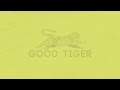 Good Tiger - A Head Full Of Moonlight (Full Album Stream)