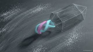 Quantum Mechanics 47: Origin of Optical activity