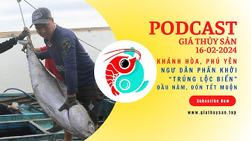 ▶ ❝TRÚNG LỘC BIỂN❞ ĐẦU NĂM! NGƯ DÂN KHÁNH HÒA, PHÚ YÊN PHẤN KHỞI ĐÓN TẾT MUỘN 🎙 #PODCAST #TinThủySản