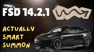 Tesla Fsd 14.2.1 In Actually Smart Summon