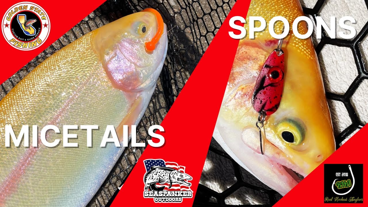 Catching Lightening Trout on Spoons and Micetails