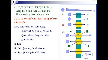 Dược lý Tóm tắt dược động học và dược lực học  PGS TS Dương Xuân Chữ CTUMP
