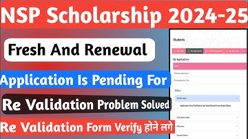 NSP Application is Pending For Re Validation | Re Validation Problem Solved | Form Verification 2025
