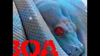 BOA ( Full Album )