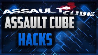 Assault Cube OP Hack +Download