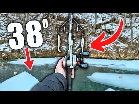 36:57 36:57 Now playing, Fishing Record BREAKING Cold Water for Winter BIG Bass
