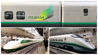 （2023.2.15・「銀つば復活！」）JR東日本E2系J66編成「200系リバイバル塗装」＋E3系L65編成リバイバル塗装。