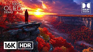 Most Beautiful Dolby Vision 16K Hdr 240 Fps 4K8K Video Tv