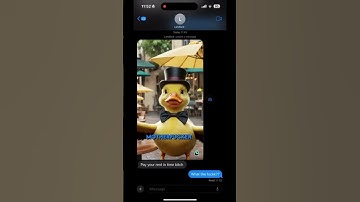 Why the owner raised the rent through ai talking duck? i should believe it? 😭😭