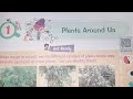Class 4th || SCIENCE || CH-1 || PLANTS AROUND US || Exercise