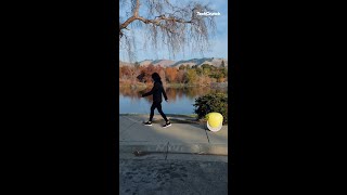 The gitamini is a cargo-carrying robot that follows you around | Piaggio Fast Forward | TechCrunch