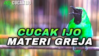 Download Lagu CUCAK IJO GACOR BUKA PARUH ISIAN GREJA TARUNG TAJAM COCOK BUAT PANCINGAN DAN MASTERAN IJO DEWASA MP3 Download Lagu CUCAK IJO GACOR BUKA PARUH ISIAN GREJA TARUNG TAJAM COCOK BUAT PANCINGAN DAN MASTERAN IJO DEWASA MP3