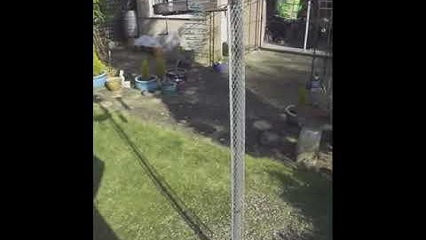 squirrel deterrent for bird feeder pole
