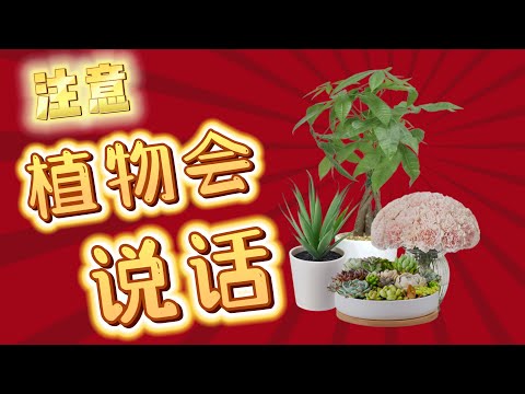 你不了解的植物