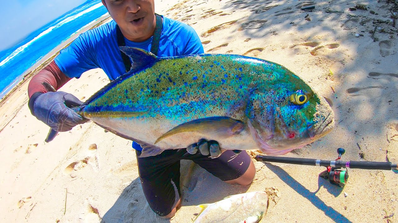 EPS 28 : EXTREEM !! BLUEFINN TREVALLY BABON LANDED, #Lombok #Mancingmania