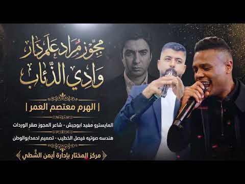 دخول الملوك_مراد علم دار | معتصم العمر- مجوز صقرالوردات | مجوز وادي الذئاب الترند_2026