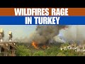 Wildfires Rage In Turkey Turkey Battles Worst Wildfires News9 