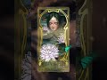 WHITE WATER-LILY from Lady Stirling's Wicked Garden Oracle deck #witch #tarot #witchtok #artshorts