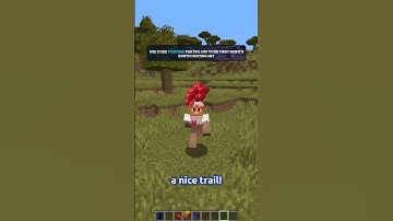 A Minecraft HAT Mod...
