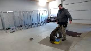Working Riggs on touch pad