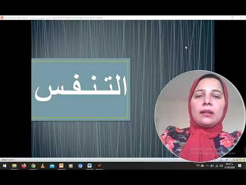 حمايه الجهاز التنفسى للإنسان ا م د علا طلعت