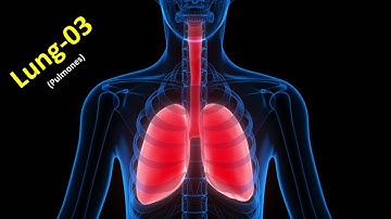 Lung-A new discussion (Part-03)-Professor Dr. Md. Ashfaqur Rahman