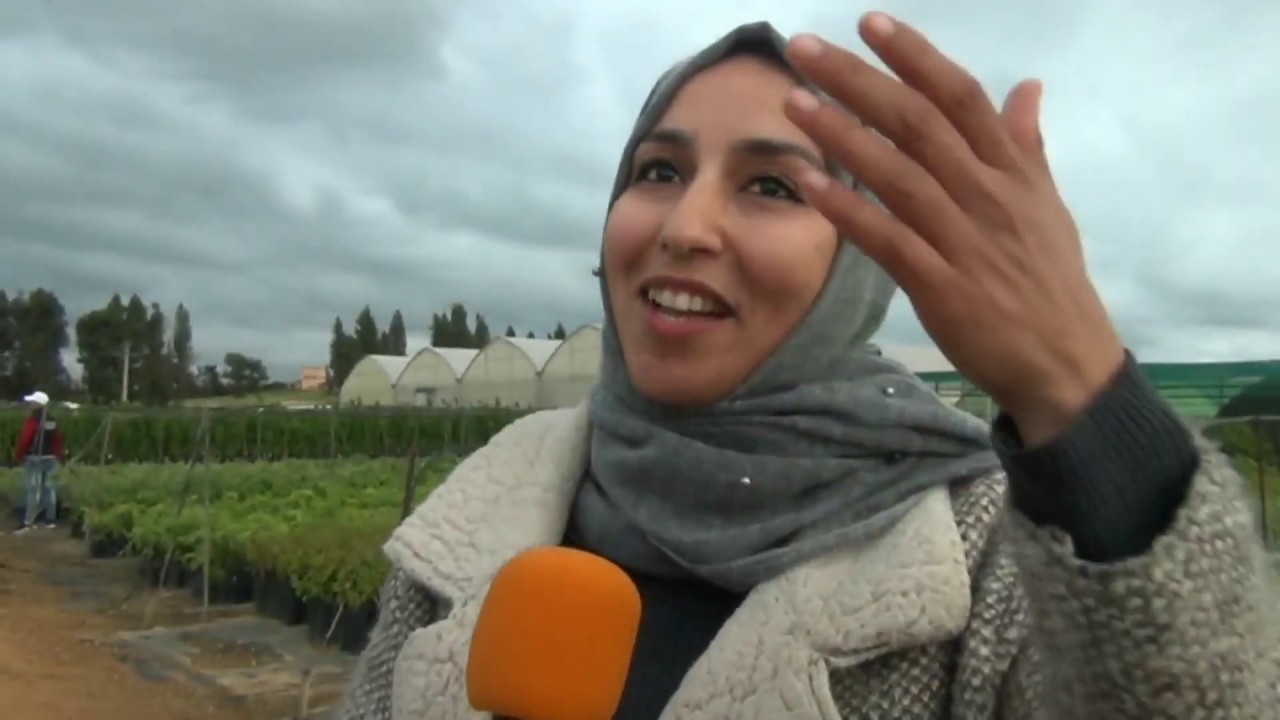 مهندسة مسؤولة عن مشتل ينتج 4 ملايين جّدرة في السنة .. في نصائح وإرشادات لفلاحي درعة تافيلالت