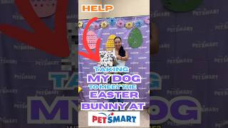 HELP #comewithme #dailyvlog #dayinthelife #dailyvlogs #ytshorts #yt #dayinmylife #dailyvlogger #vlog