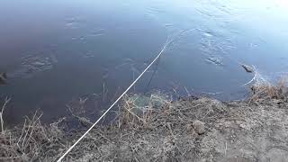 ПРОВЕРКА ПОИСКОВОГО МАГНИТА С ALIEXPRESS. НАША ПЕРВАЯ НАХОДКА В 2019