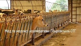 Download lagu Децентралізовані Мед та молоко кооперативи Покровської ОТГ Децентралізовані Мед та молоко кооперативи Покровської ОТГ