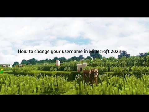 how to change your minecraft username in 2023 [java edtition] - YouTube