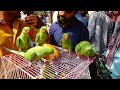 Lucknow nakhas market full exotic birds market update  280424       