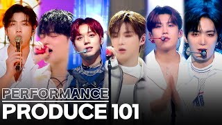 𝐖𝐚𝐧𝐧𝐚 𝐎𝐧𝐞 𝐈𝐬 𝐁𝐚𝐜𝐤✨ 𝐄𝐯𝐞𝐫𝐲 𝐏𝐞𝐫𝐟𝐨𝐫𝐦𝐚𝐧𝐜𝐞 𝐨𝐟 𝐏𝐑𝐎𝐃𝐔𝐂𝐄𝟏𝟎𝟏💗