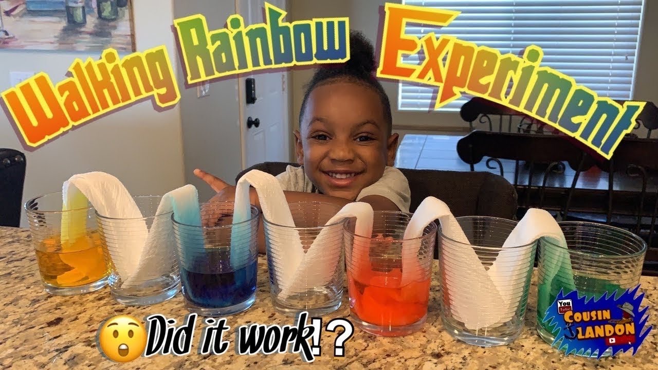 Walking Rainbow Experiment|Learn Primary Colors - YouTube