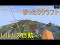 【minecraft/Java】レルムズの自鯖。雑談とかいろいろ　#りむライブ #おしゃべりメガネ　#おしゃべらんメガネ
