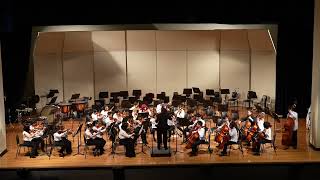 New Jersey Symphony Youth Orchestra 2024 Spring Concert - String Ensemble Performance