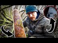 Lost Place - Ein Wald voller Relikte -